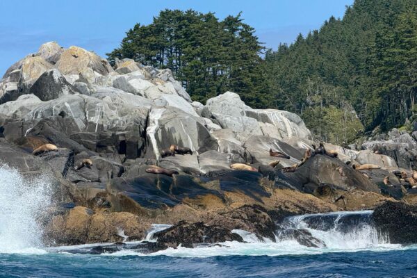 20250612_180218_703C98