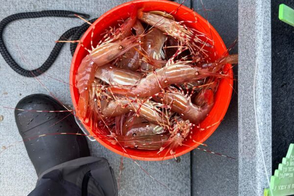 20250612_180218_71F721