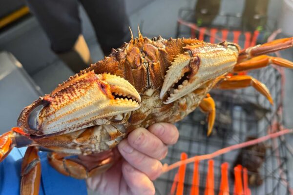 20250612_180218_76C4F2