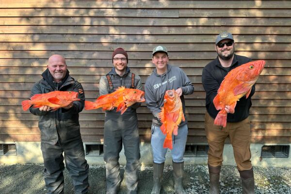 20250614_011038_73E367