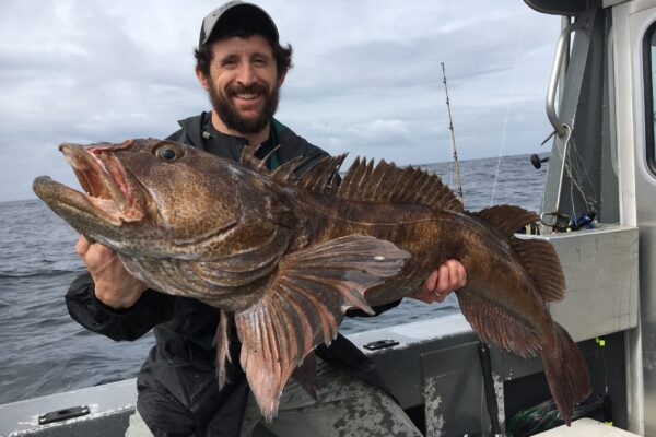 2dfa0964-a65e-f210-89b2-68631588ddde