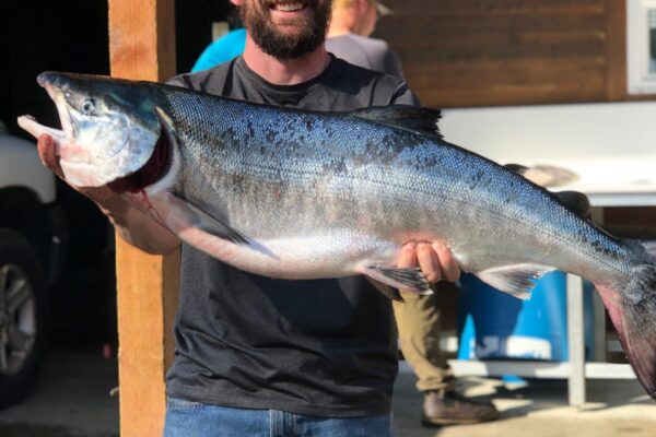 ae10a636-76ec-e95e-d106-9f65c7626a87