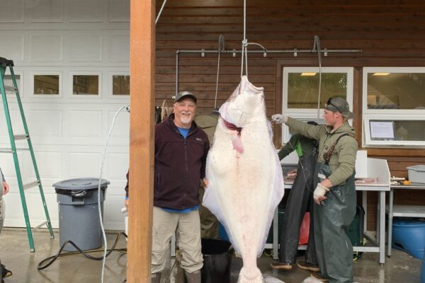 e70a14d1-6bf7-43ed-bc84-b7a1e33ca6b0