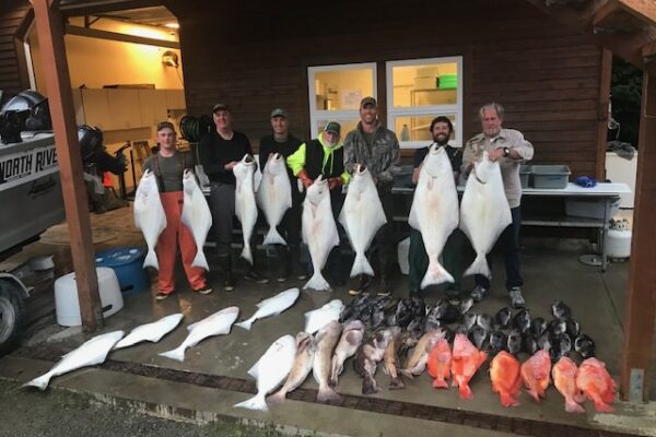 f9bd2e44-8da1-0479-7535-b70eae966ac6